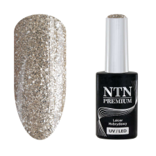  NTN Premium New - 169 műköröm zselé