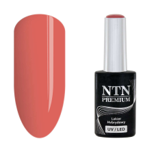 NTN Premium New - 28 műköröm zselé