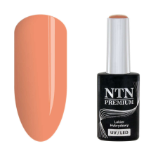 NTN Premium New - 37 lakk zselé