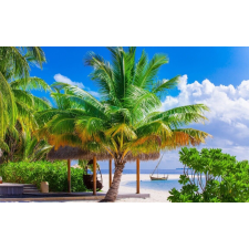  Nyári tengerparti nyaralás tapéta, 300 x 250 cm tapéta, díszléc és más dekoráció