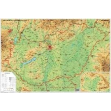 Nyír Karta Magyarország domborzata falitérkép faléccel Nyír-Karta 1:450 000 125x85 térkép