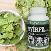  NYÍRFA LEVÉL 60db-os kapszula