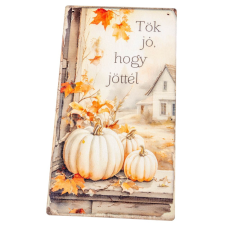  Nyomtatott fa táblaTök jó, hogy jöttél akasztós tábla 13x24,3cm dekorációs kellék