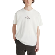 O'Neill Aguazul T-Shirt  D férfi póló