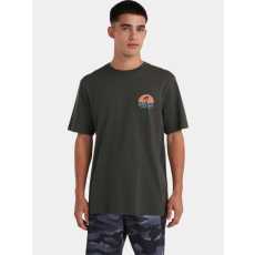 O'Neill O Neill Beach Graphic T-Shirt D