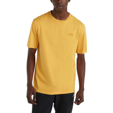 O'Neill O Neill Small Logo T-Shirt  D