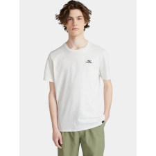 O'Neill O Neill Small Logo T-Shirt D férfi póló