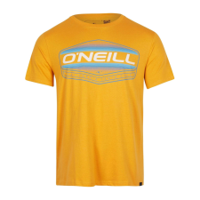 O'Neill Warnell T-Shirt D férfi póló