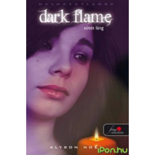 OEM Alyson Noel - Dark Flame - Sötét láng gyermek- és ifjúsági könyv