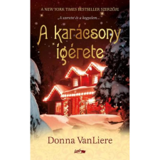 OEM Donna VanLiere - A karácsony ígérete regény
