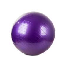 OEM Gimnasztikai labda + pumpa 65cm rehabilitációs labda fitness labda