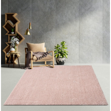OEM Modern szőnyeg Sacramento (Rose) 200x280cm Púder lakástextília