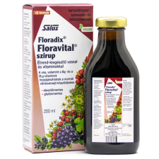 OEM SALUS HAUS Floradix floravital szirup 250 ml vitamin és táplálékkiegészítő