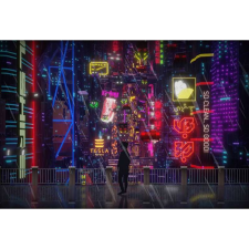 OEM Tablou vászon a Cyberpunk City-ben, 80x50cm, tablou1165 grafika, keretezett kép