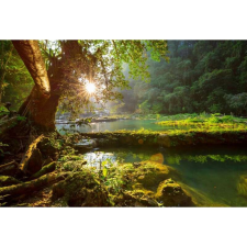 OEM Tablou vászon A természet szépségét érintő nap, 80x50cm, tabloucanvas958 grafika, keretezett kép
