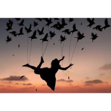 OEM Tablou vászon Flying In Life, 80x50cm, tablou786 grafika, keretezett kép