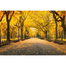 OEM Tablou vászon November a Central Parkban, 80x50cm, tabloucanvas1254 grafika, keretezett kép