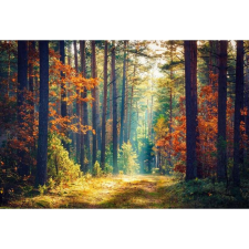 OEM Tablou vászon színes erdő, 80x50cm, tabloucanvas188 grafika, keretezett kép