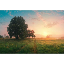 OEM Tablou vászon tavaszi panorámás tájkép, 80x50cm, tabloucanvas401 grafika, keretezett kép