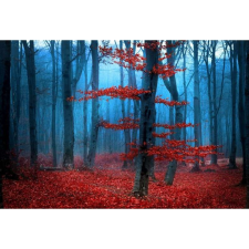 OEM Tablou vászon Vörös ködös erdő, 80x50cm, tabloucanvas30 grafika, keretezett kép