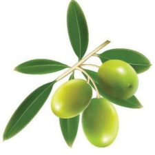 Olajbogyó mintás dekorációs csempematrica 4db/szett15x15cm tapéta, díszléc és más dekoráció