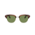 Oliver Peoples Cary Grant 2 Sun OV5436S 1679P1