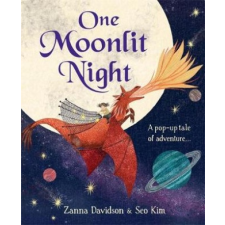  One Moonlit Night – Susanna Davidson idegen nyelvű könyv