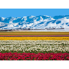  Öntapadó és lemosható fali tapéta Virágok és hegyek, 200 x 150 cm tapéta, díszléc és más dekoráció