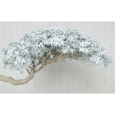  Öntapadó és mosható falfestmény Absztrakt szürke fa, 250 x 200 cm tapéta, díszléc és más dekoráció