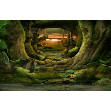  Öntapadó és mosható falfestmény Alagút az erdőn, 400 x 250 cm tapéta, díszléc és más dekoráció