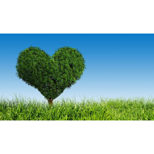  Öntapadó és mosható falfestmény Az élet fája, 250 x 200 cm tapéta, díszléc és más dekoráció