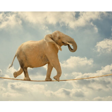  Öntapadó és mosható falfestmény Elefánt akrobata, 300 x 250 cm tapéta, díszléc és más dekoráció