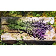  Öntapadó és mosható falfestmény Flori67, 200 x 150 cm tapéta, díszléc és más dekoráció