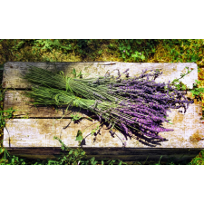  Öntapadó és mosható falfestmény Flori67, 250 x 200 cm tapéta, díszléc és más dekoráció