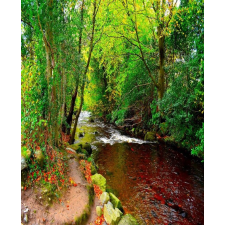  Öntapadó és mosható falfestmény Folyó a zöld erdőből, 150 x 205 cm tapéta, díszléc és más dekoráció
