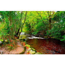  Öntapadó és mosható falfestmény Folyó a zöld erdőből, 250 x 200 cm tapéta, díszléc és más dekoráció