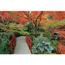  Öntapadó és mosható falfestmény Japán kert 3, 300 x 250 cm tapéta, díszléc és más dekoráció