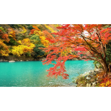  Öntapadó és mosható falfestmény Natura151 Ősz a tavon, 250 x 150 cm tapéta, díszléc és más dekoráció