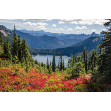  Öntapadó és mosható falfestmény Natura153 Virágok, tó, hegyek, 250 x 150 cm tapéta, díszléc és más dekoráció