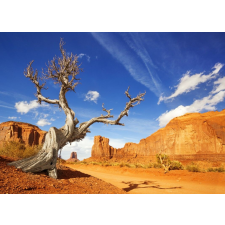  Öntapadó és mosható falfestmény Natura173 Arizona Grand Canyon, 200 x 150 cm tapéta, díszléc és más dekoráció