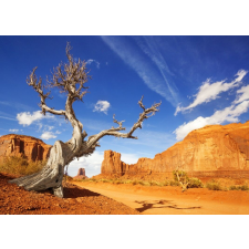  Öntapadó és mosható falfestmény Natura173 Arizona Grand Canyon, 250 x 200 cm tapéta, díszléc és más dekoráció