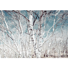  Öntapadó és mosható falfestmény Nyírerdő, 200 x 150 cm tapéta, díszléc és más dekoráció