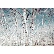  Öntapadó és mosható falfestmény Nyírerdő, 350 x 250 cm tapéta, díszléc és más dekoráció