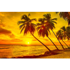  Öntapadó és mosható falfestmény Pálmafák naplementekor, 250 x 200 cm tapéta, díszléc és más dekoráció