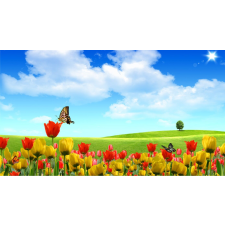  Öntapadó és mosható falfestmény Pillangók és tulipánok, 250 x 200 cm tapéta, díszléc és más dekoráció