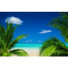  Öntapadó és mosható falfestmény Plaja32, 300 x 200 cm tapéta, díszléc és más dekoráció