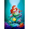  Öntapadó és mosható falfestmény Princess Ariel, 150 x 205 cm