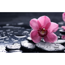  Öntapadó és mosható falfestmény Rózsaszín orchidea, 400 x 250 cm tapéta, díszléc és más dekoráció