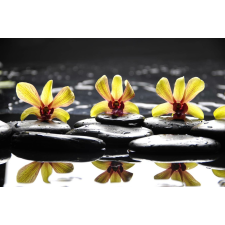  Öntapadó és mosható falfestmény Sárga orchideák kövekkel, 250 x 200 cm tapéta, díszléc és más dekoráció