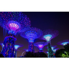 Öntapadó és mosható falfestmény Singapore Park 3, 250 x 200 cm tapéta, díszléc és más dekoráció